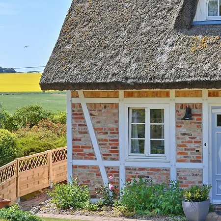 Apartment - 8 Vilmnitz