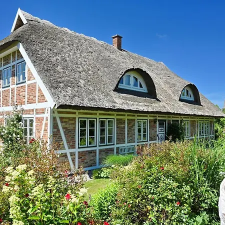 - 8 Apartment Vilmnitz